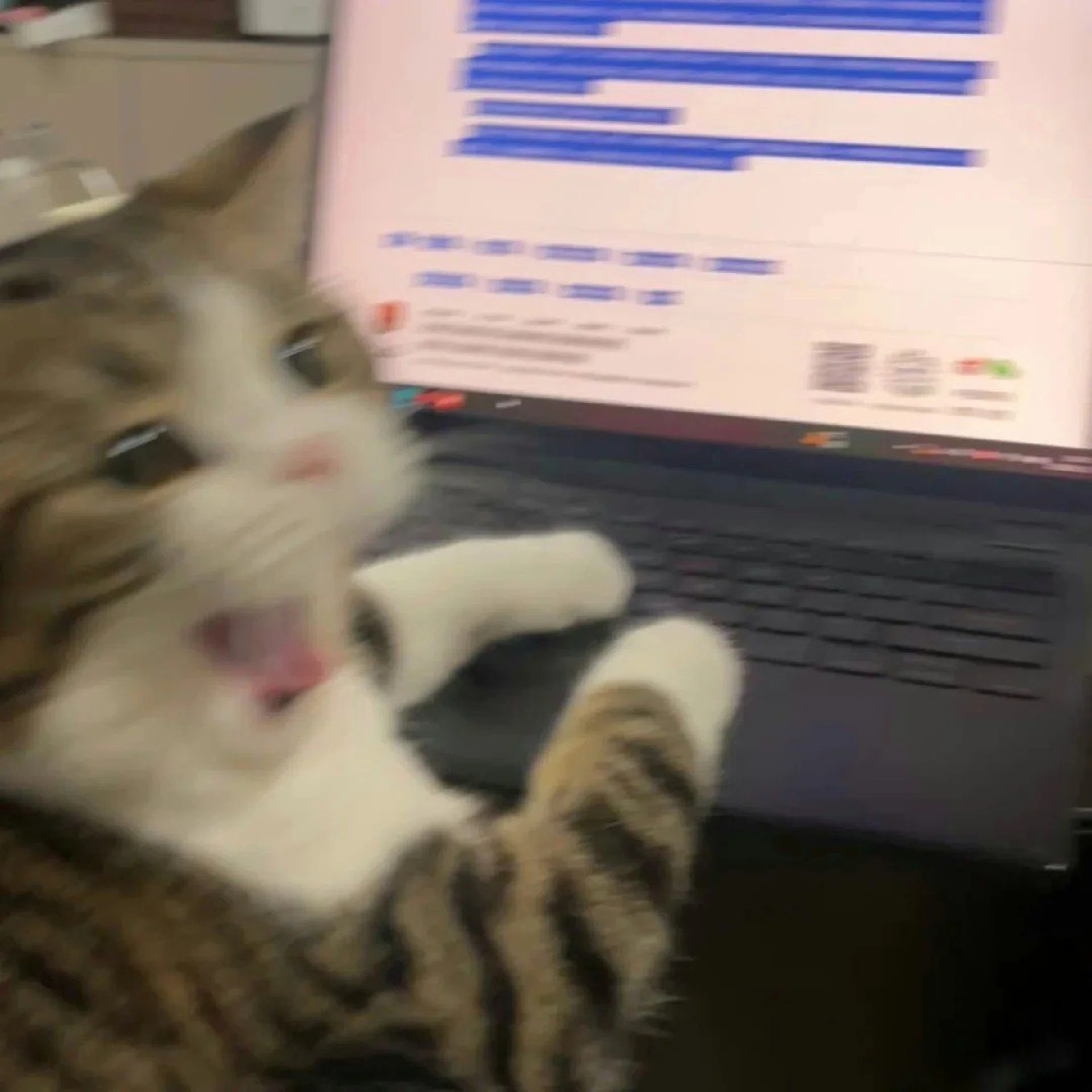 görsel