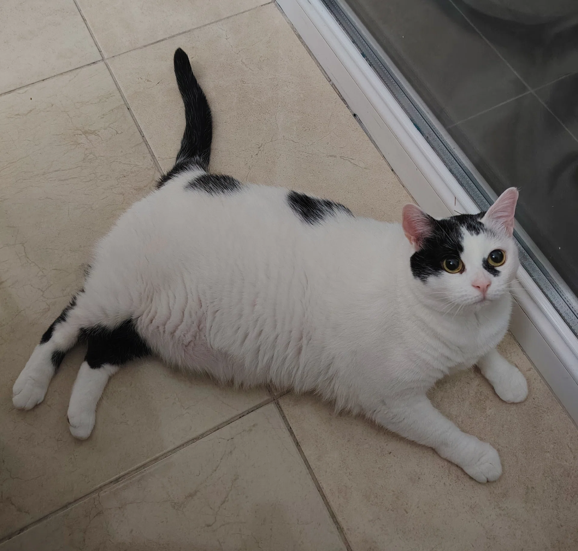 görsel