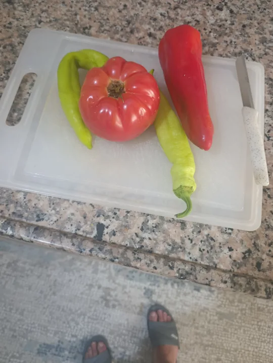 görsel