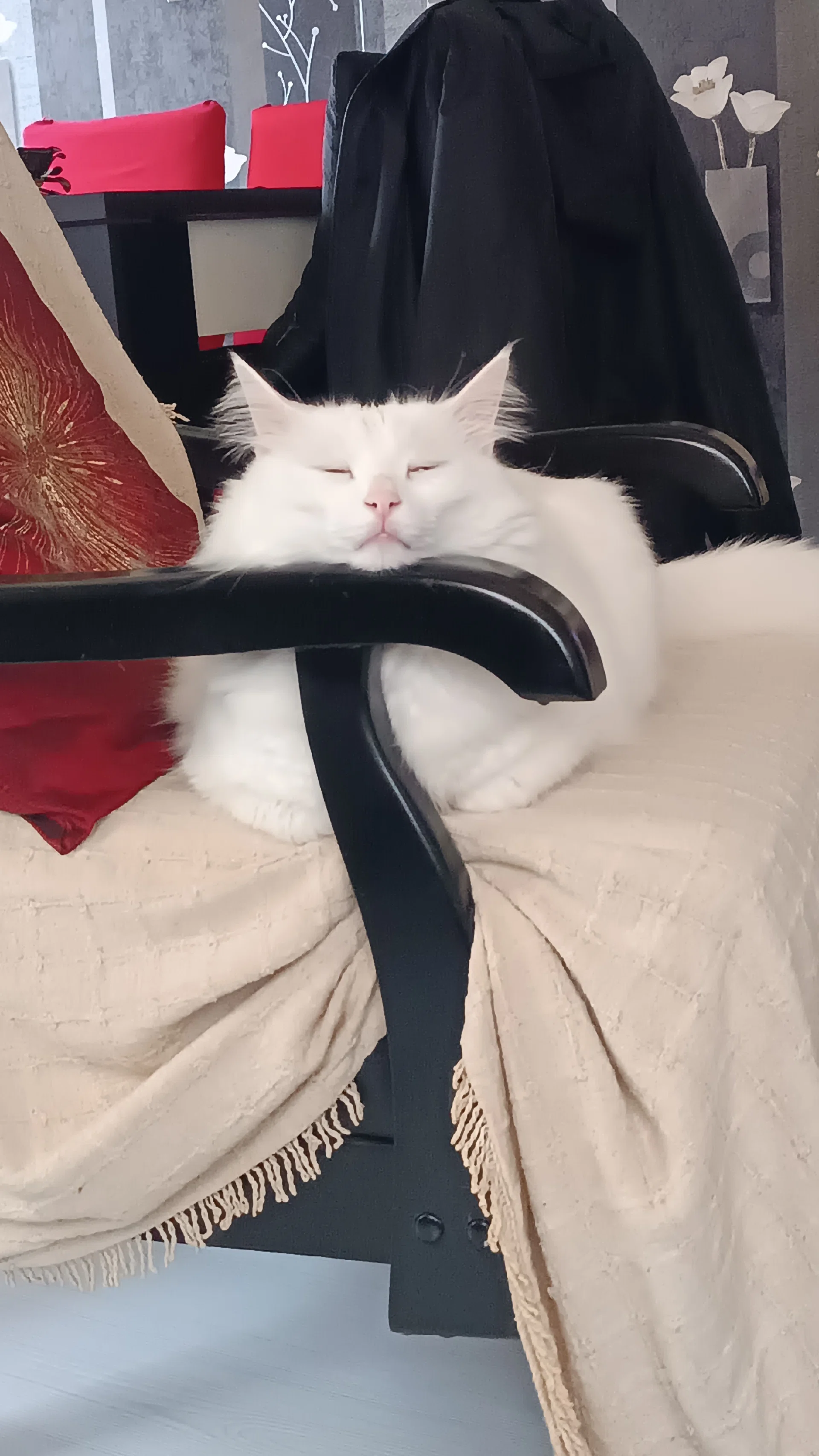görsel