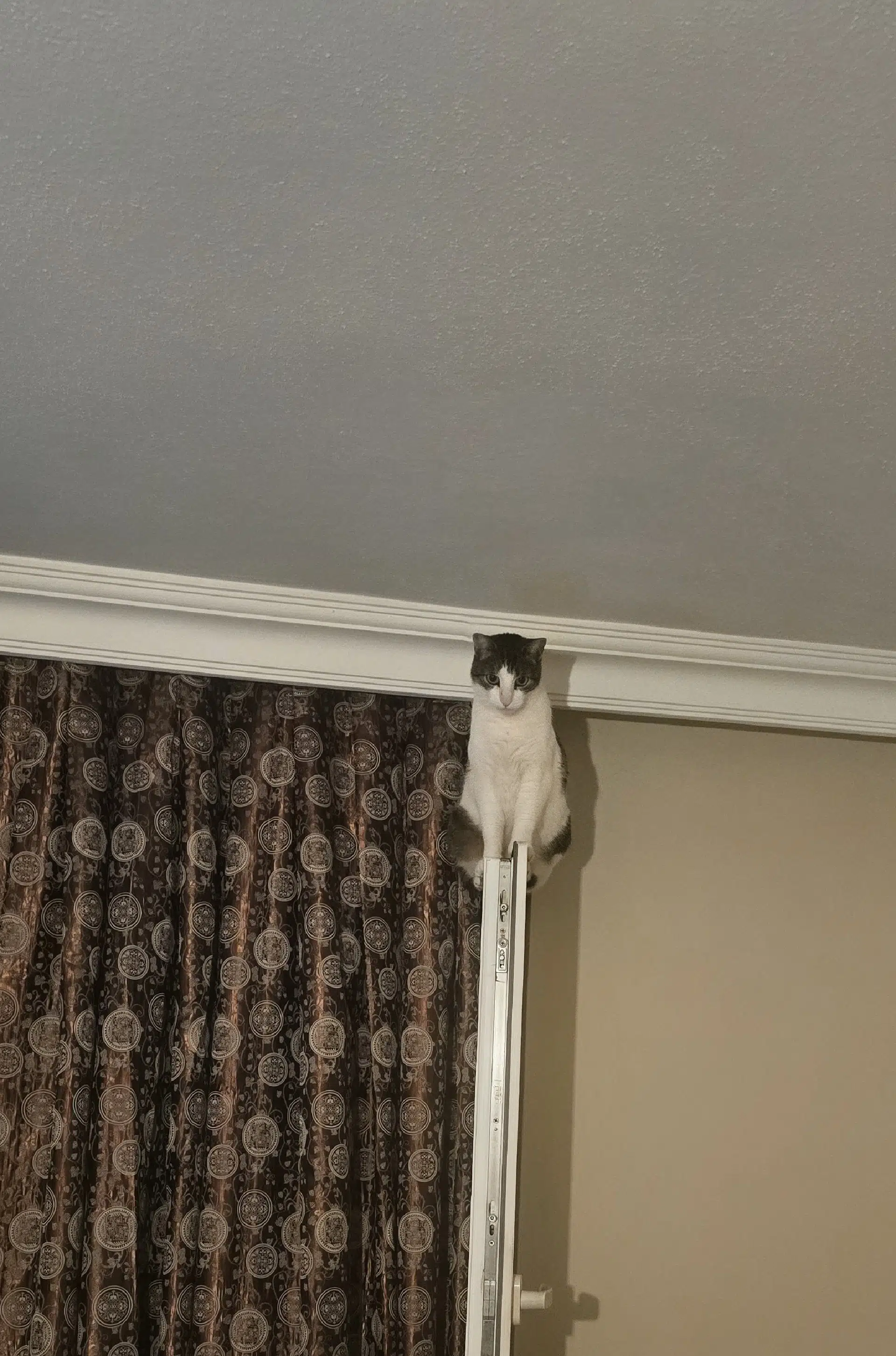 görsel
