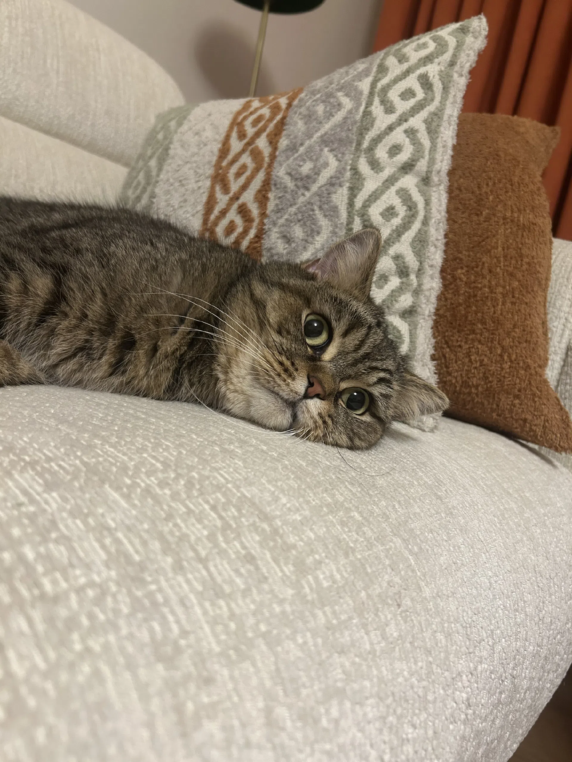 görsel