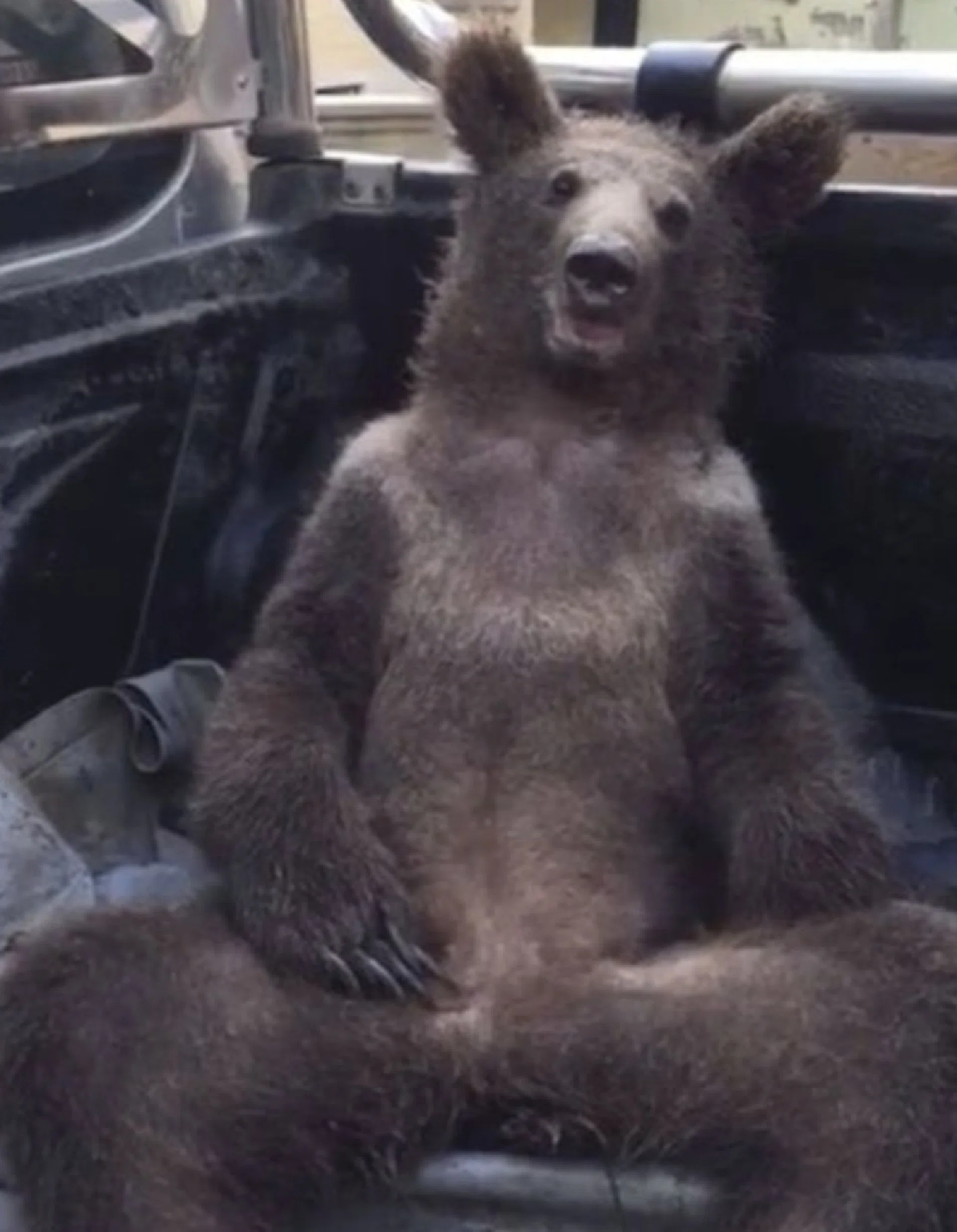 görsel