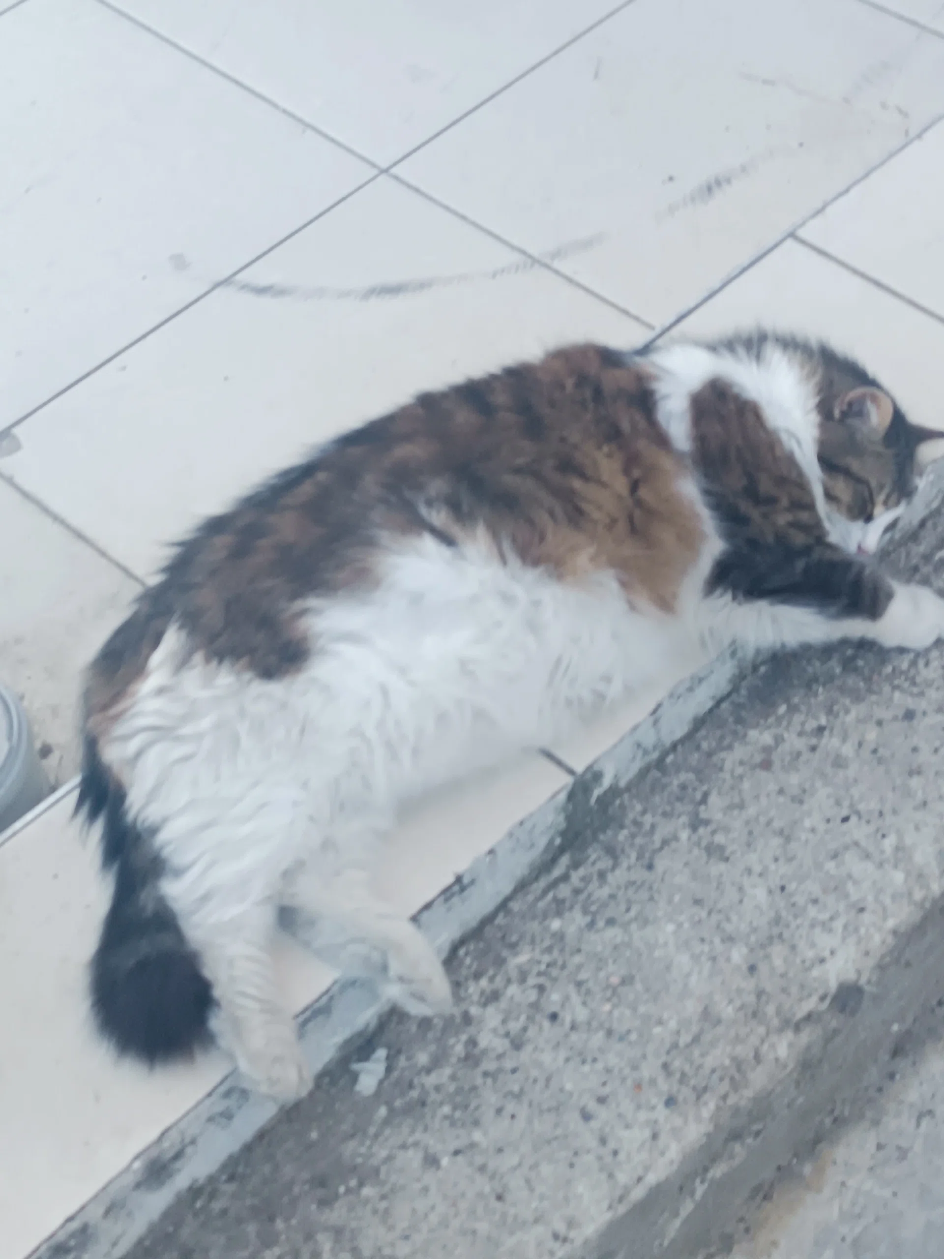 görsel