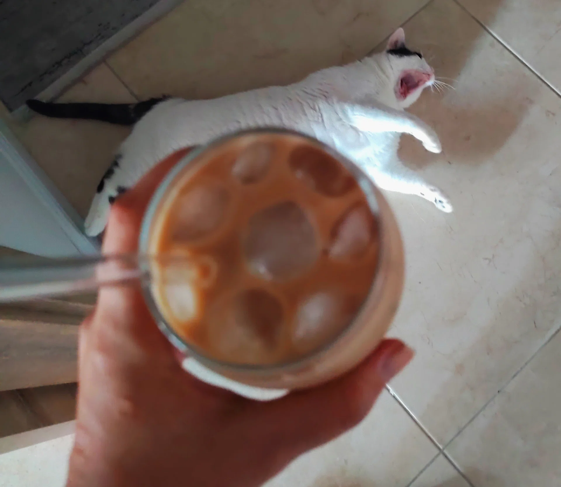 görsel