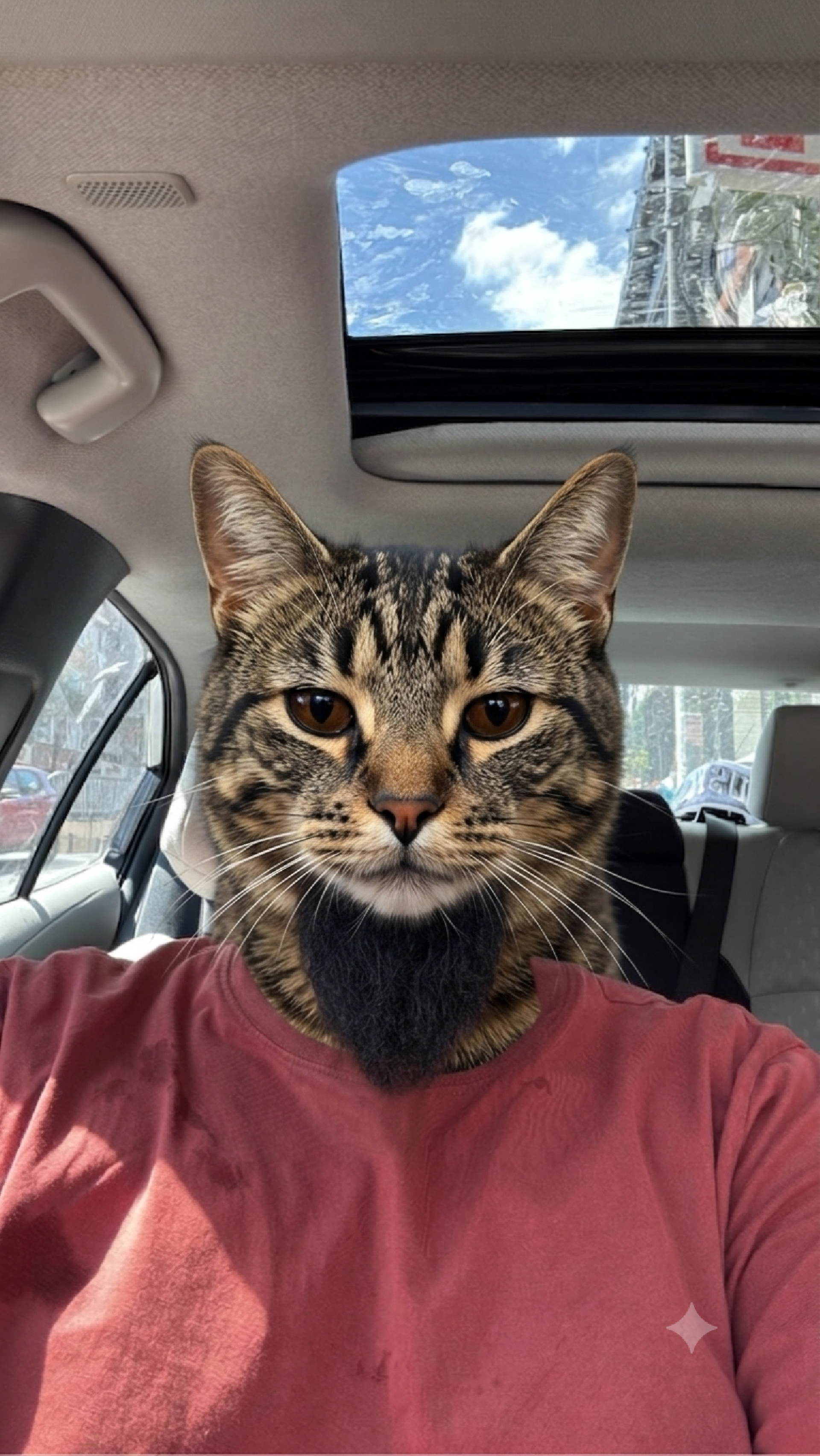 görsel