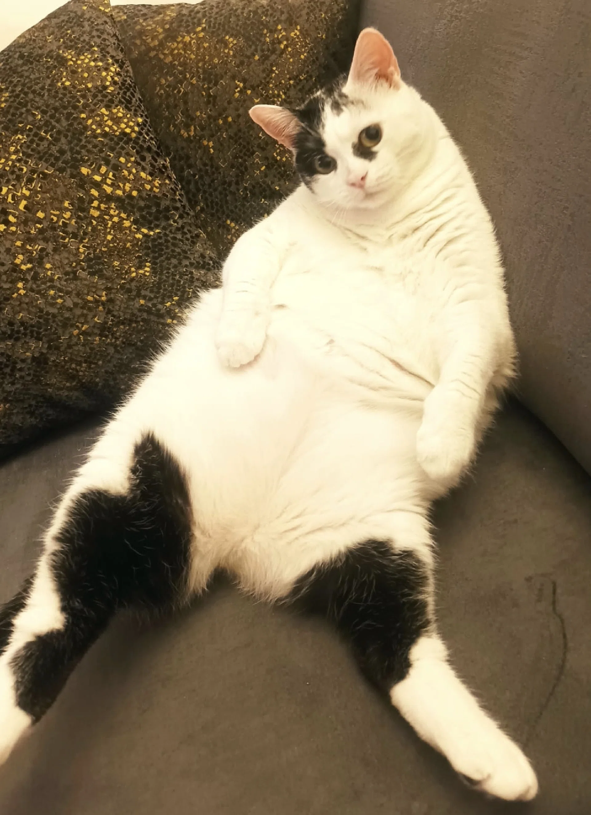 görsel