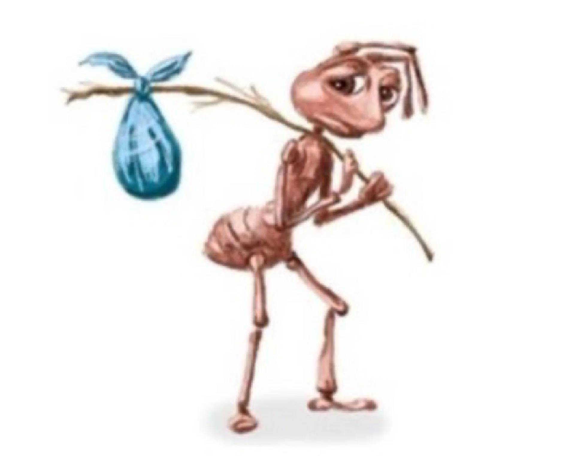 görsel