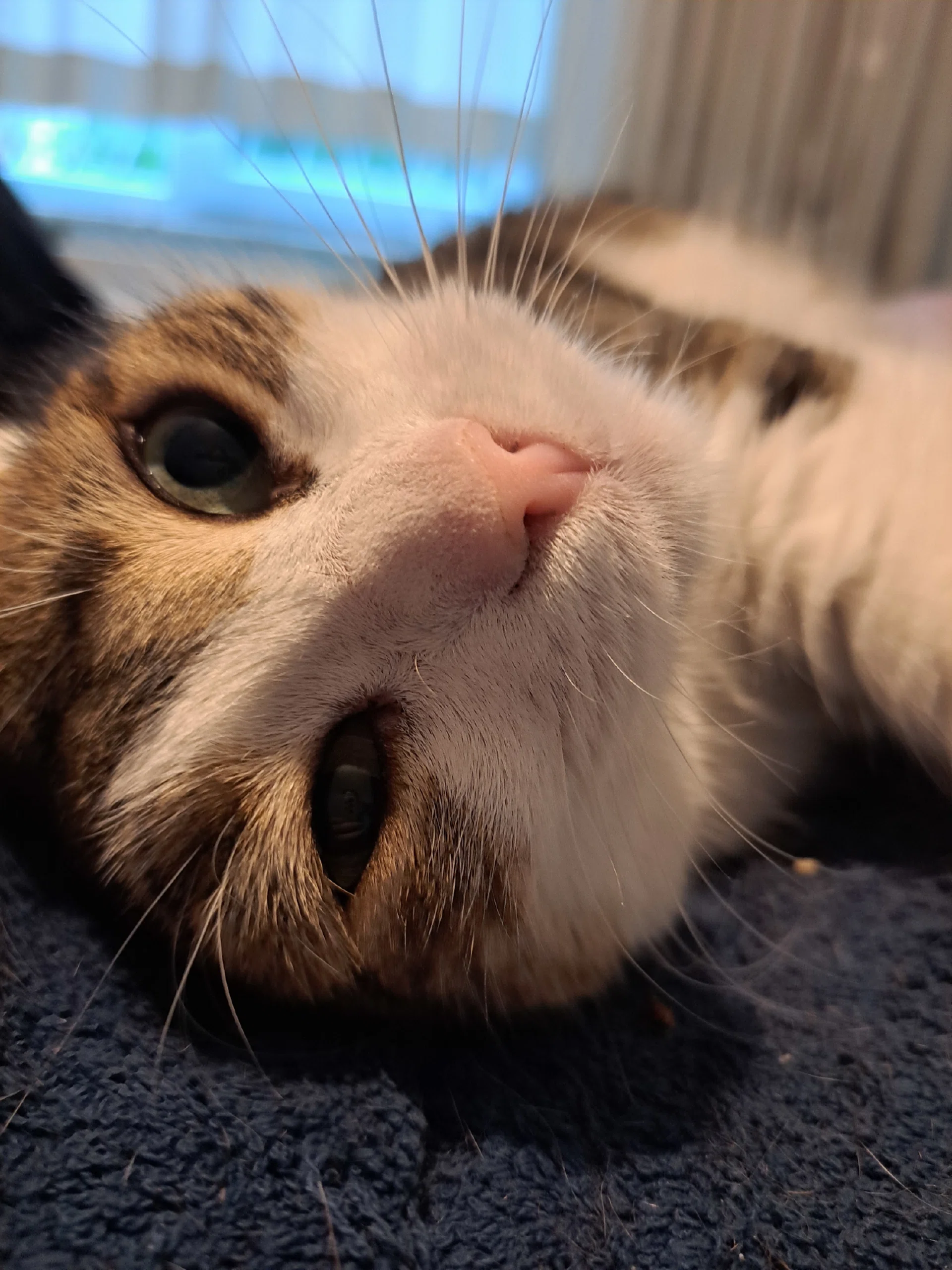 görsel