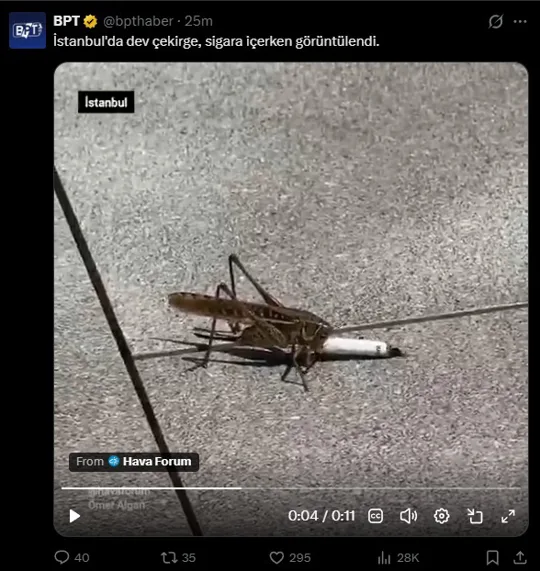 görsel