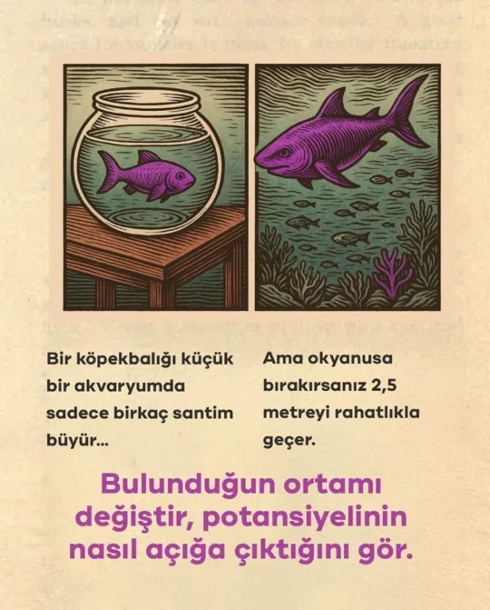 görsel
