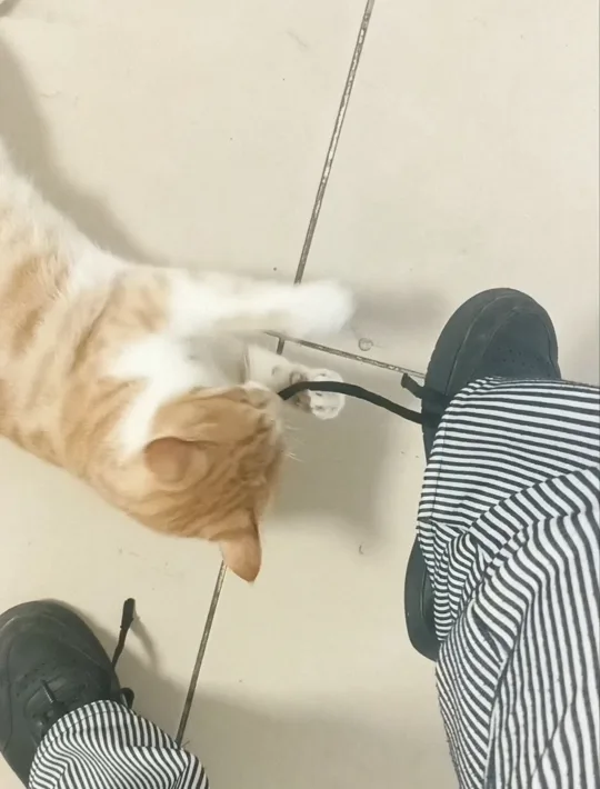 görsel