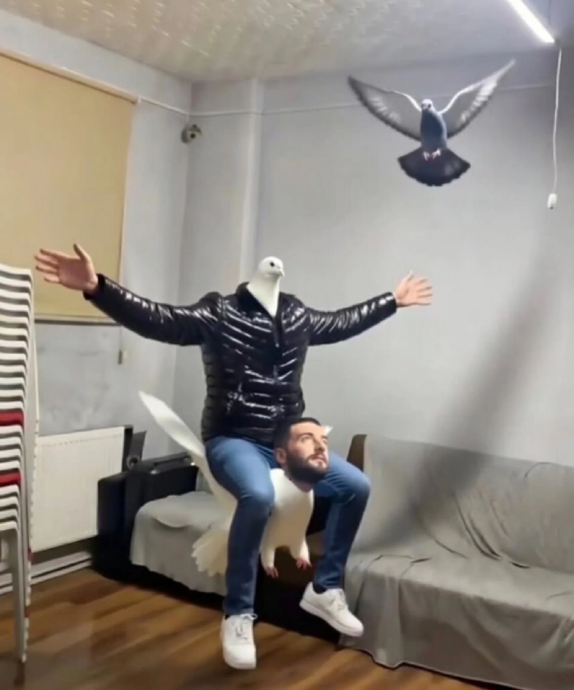 görsel
