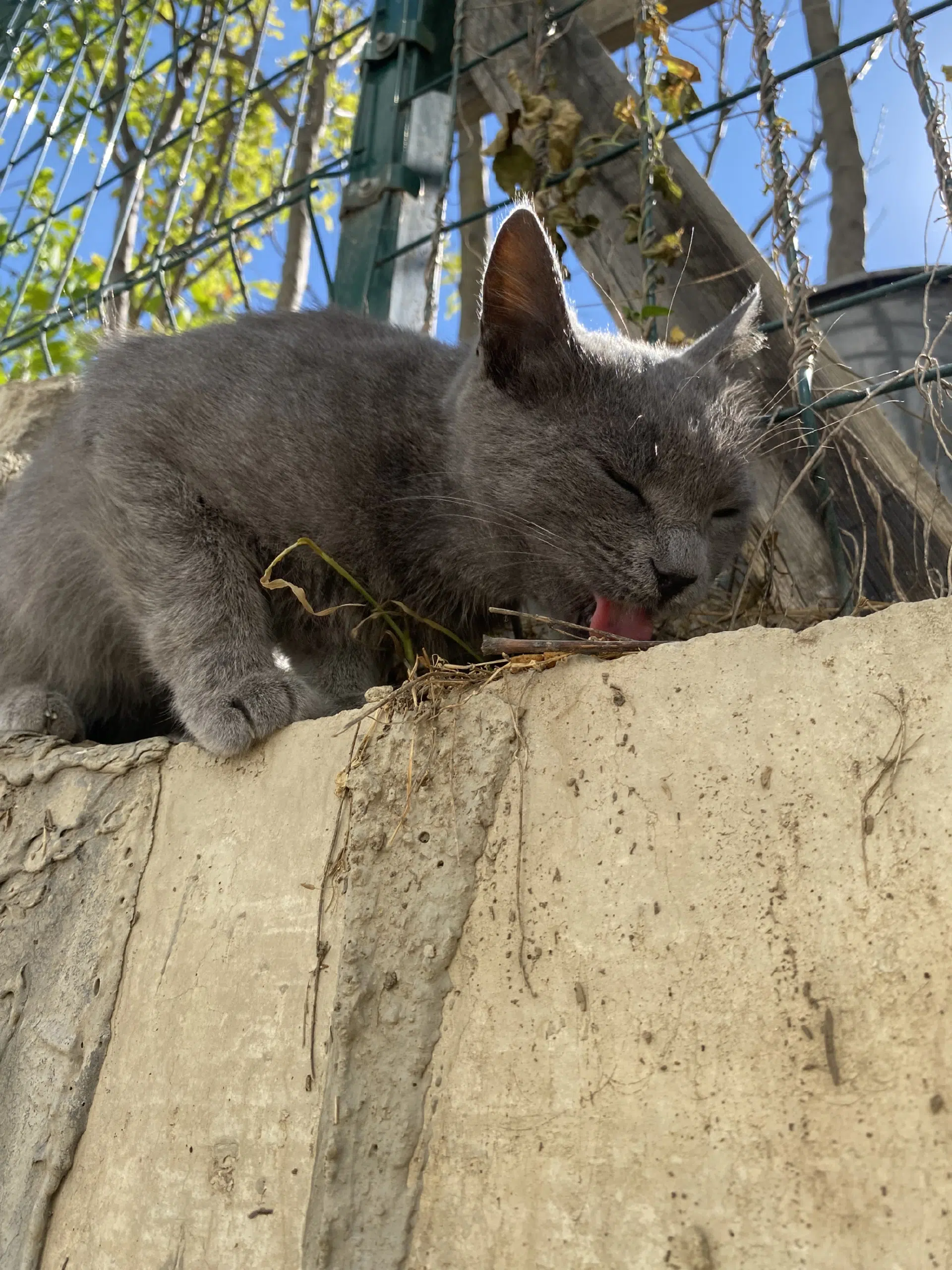 görsel