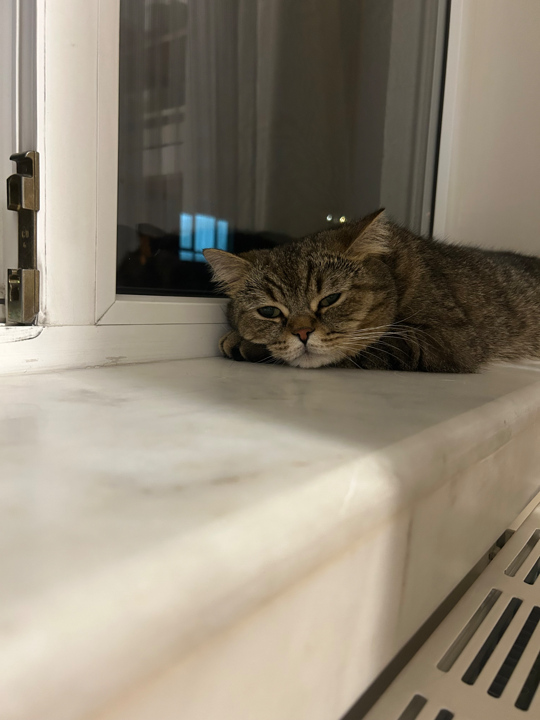 görsel