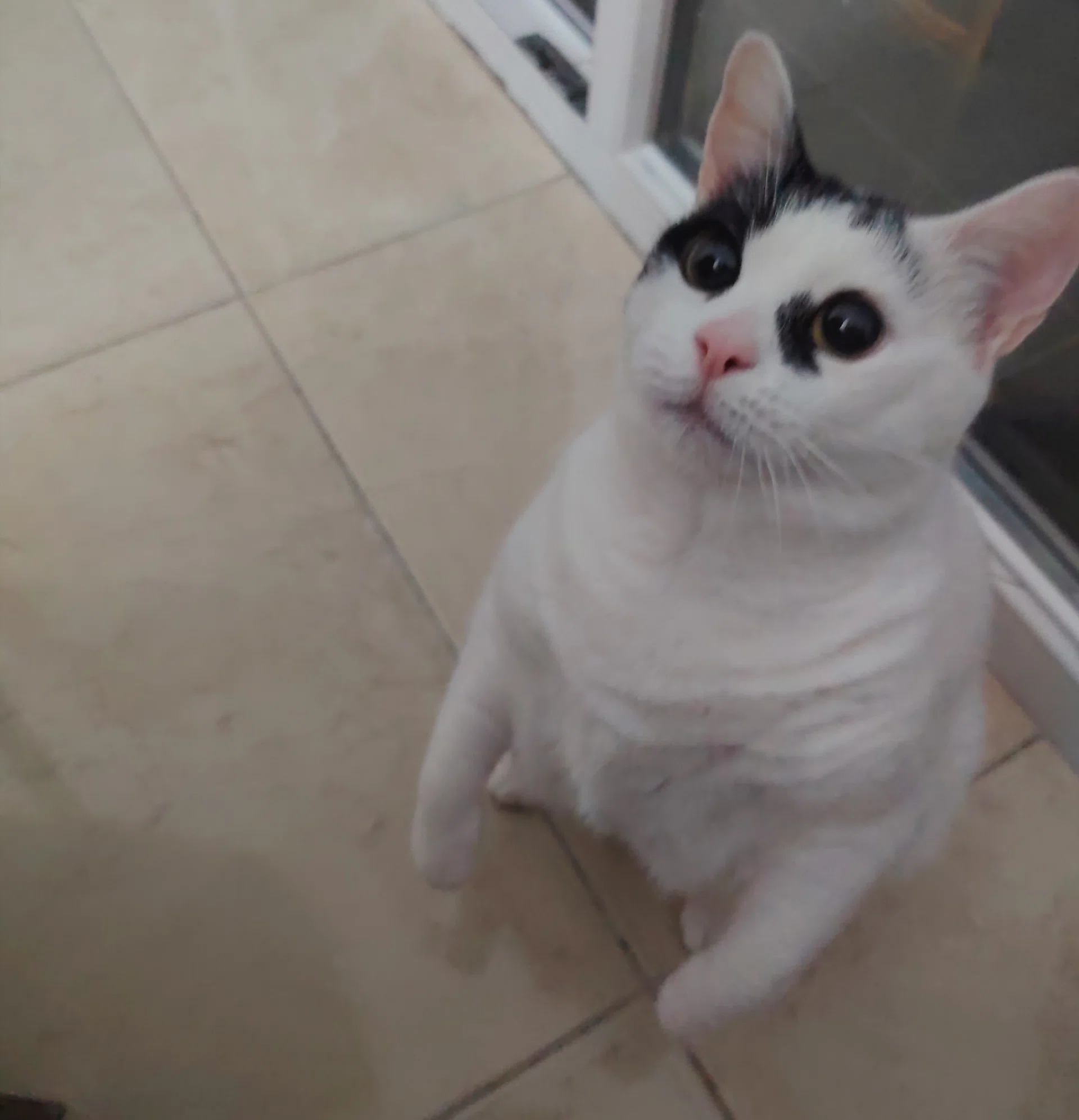 görsel