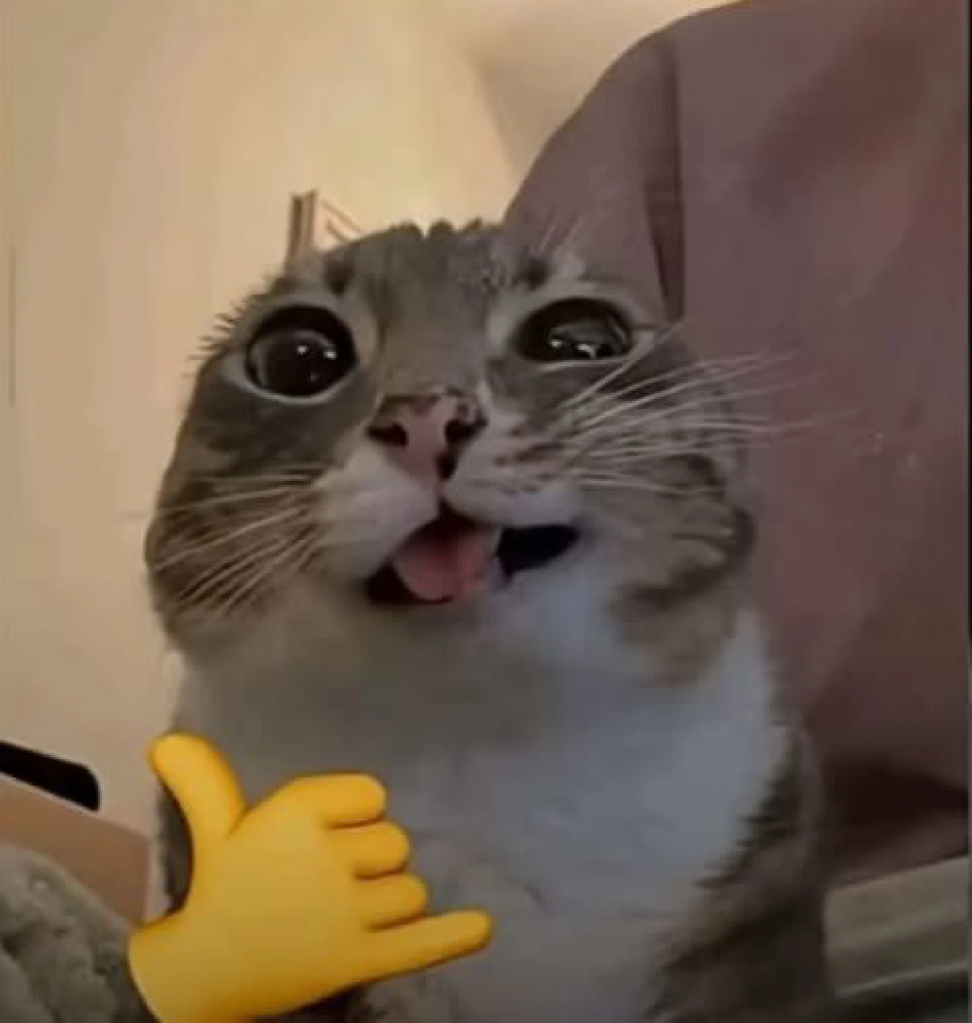 görsel
