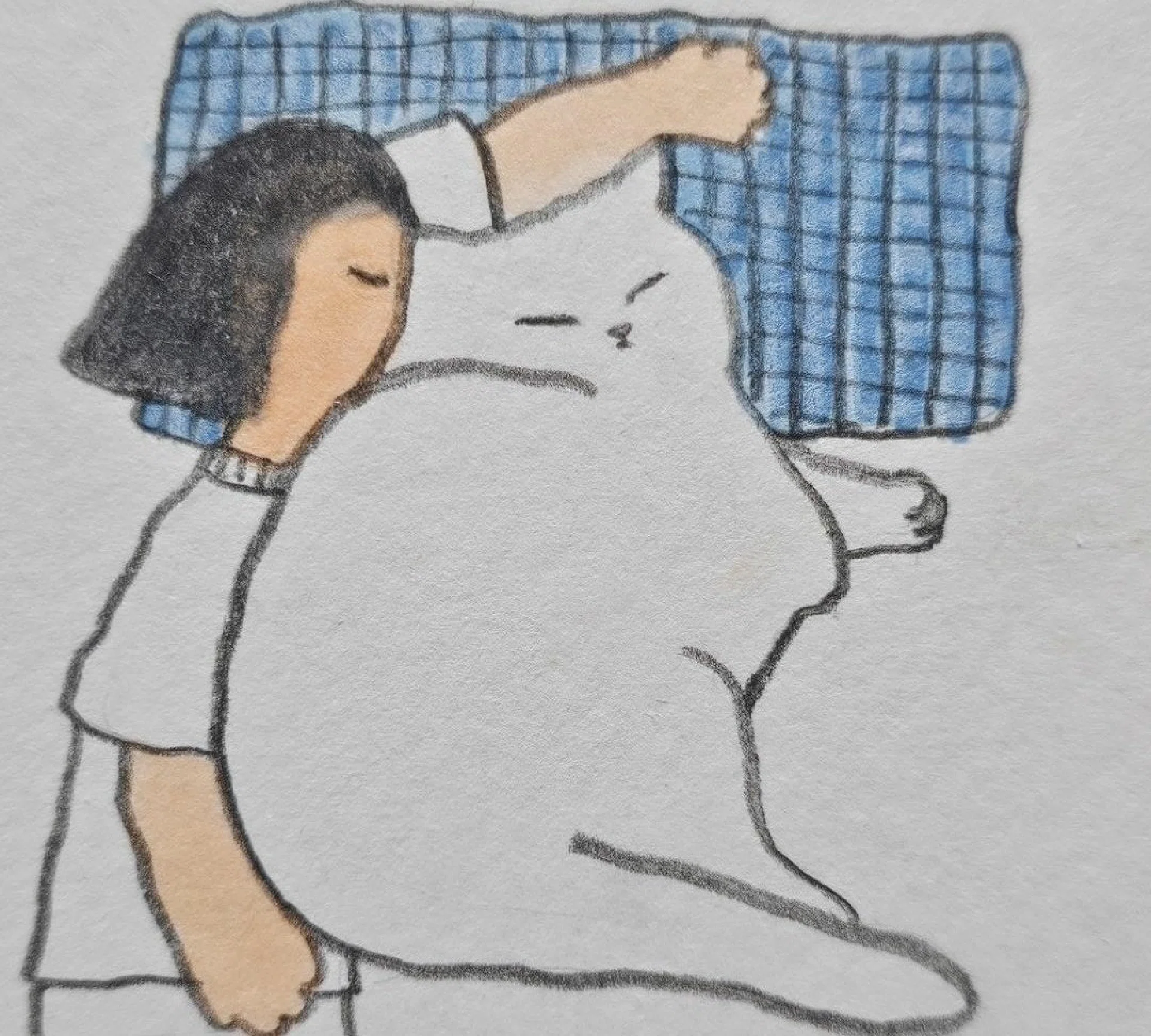 görsel