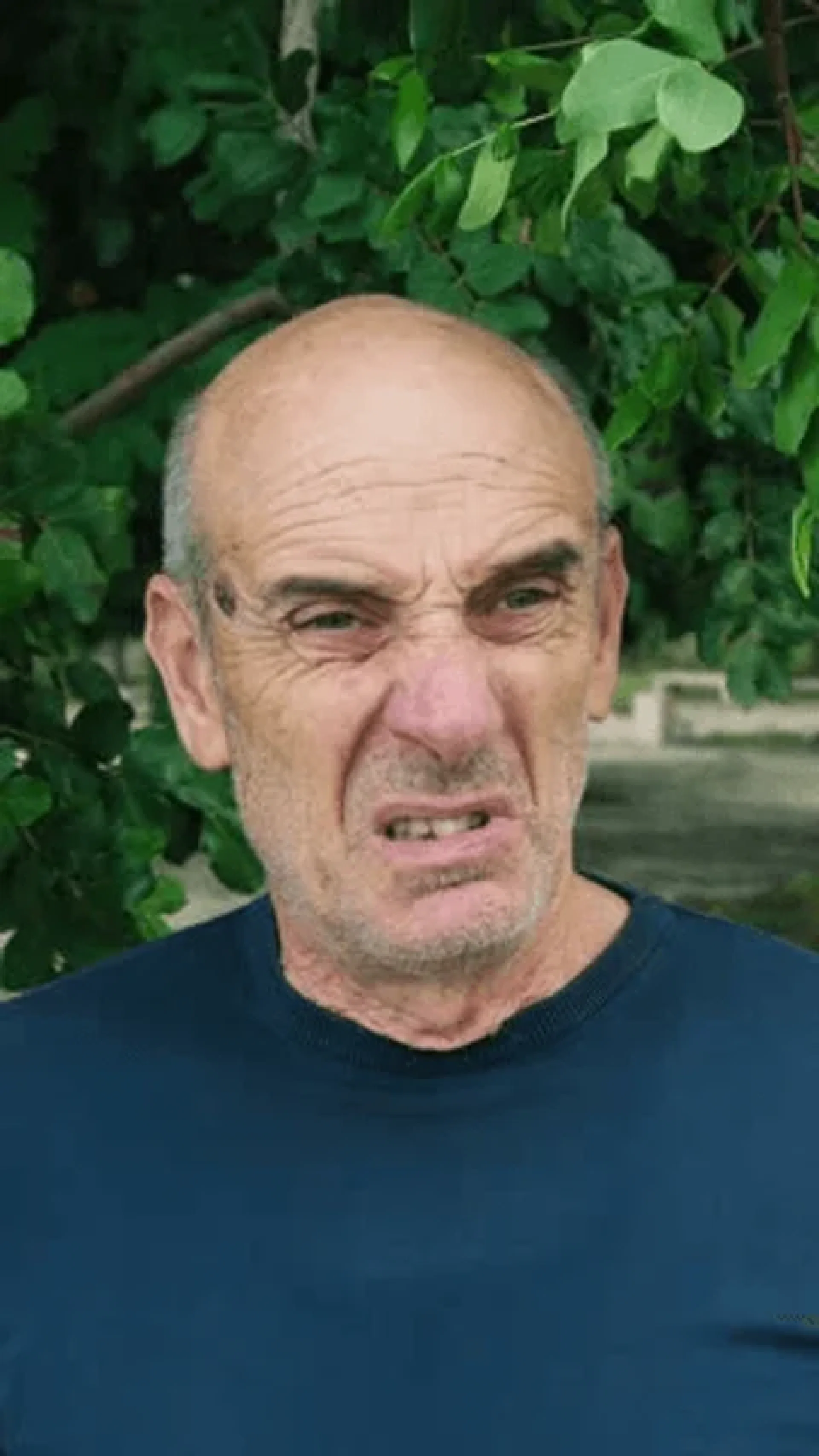 görsel