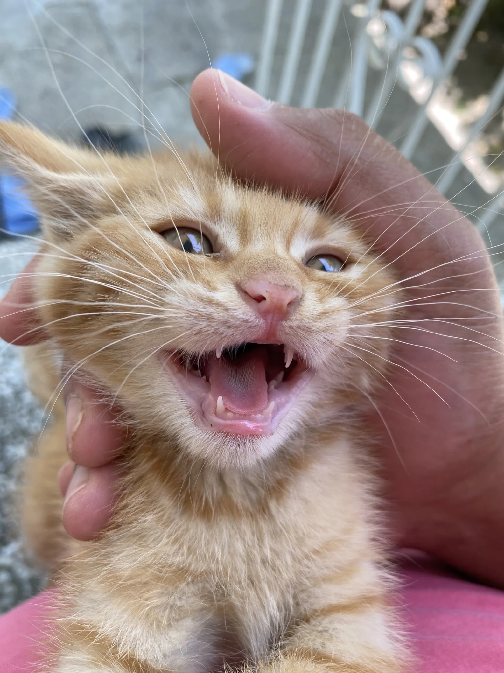 görsel