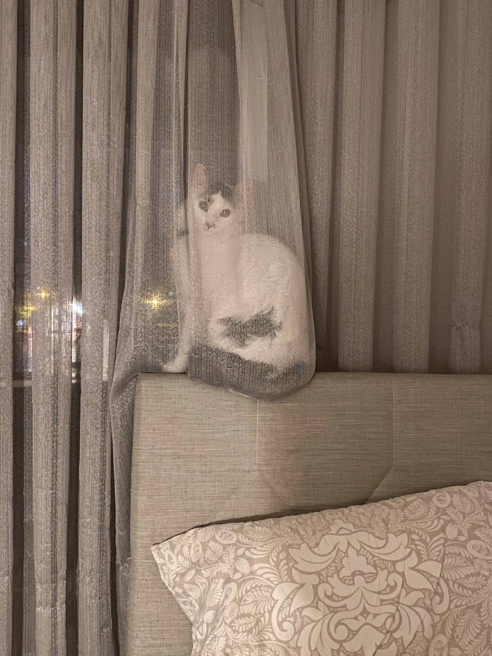 görsel