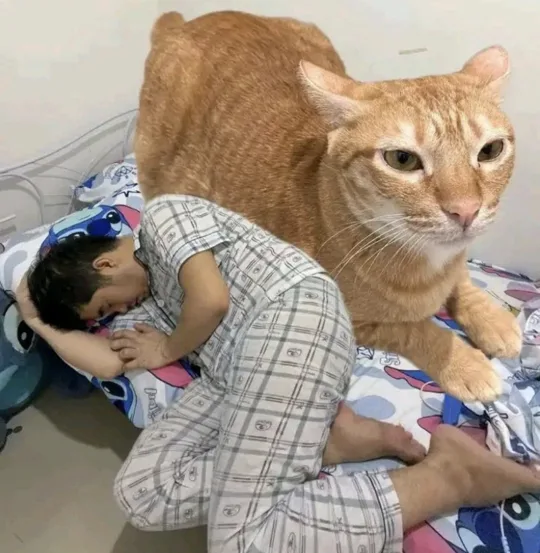 görsel