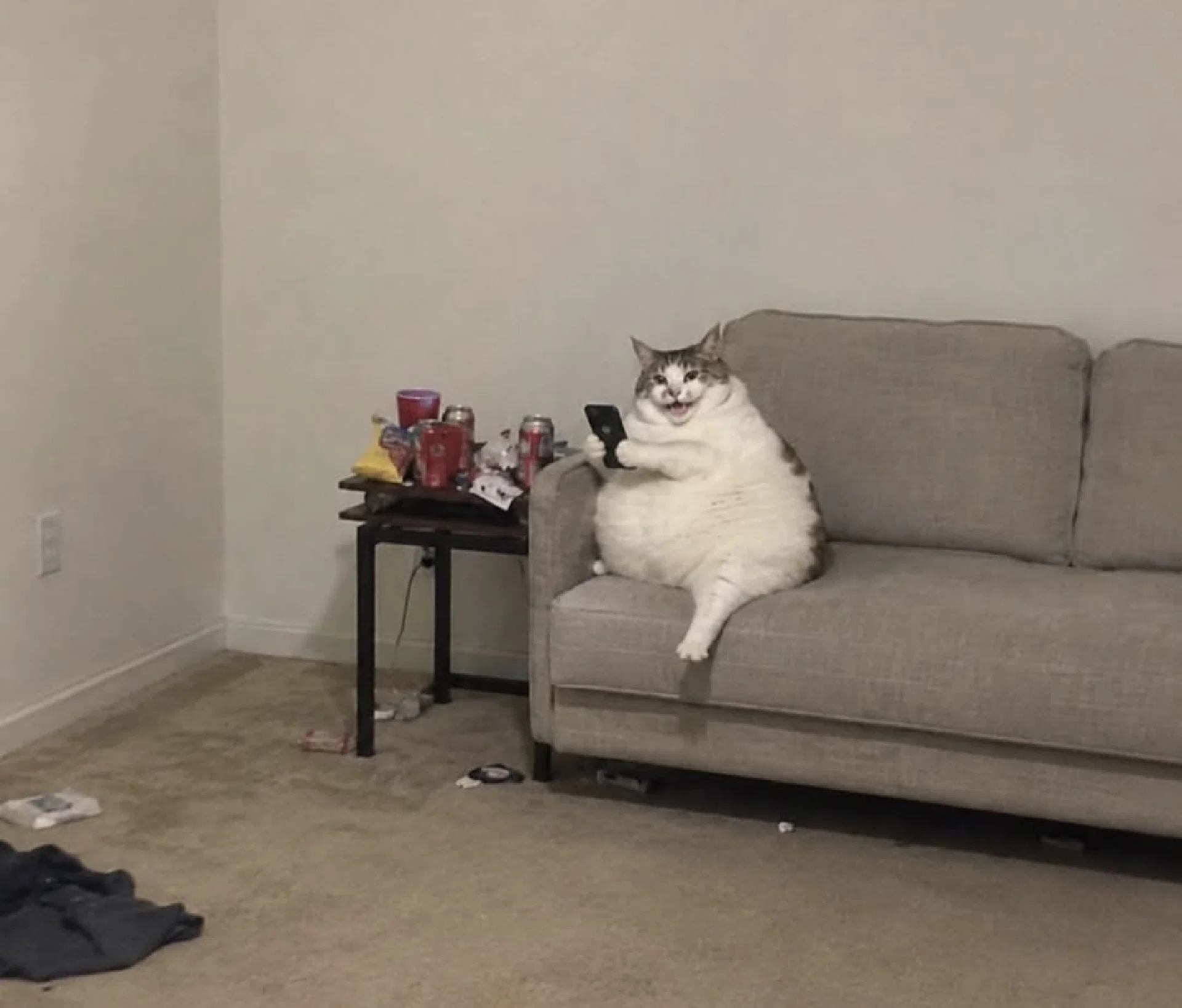 görsel