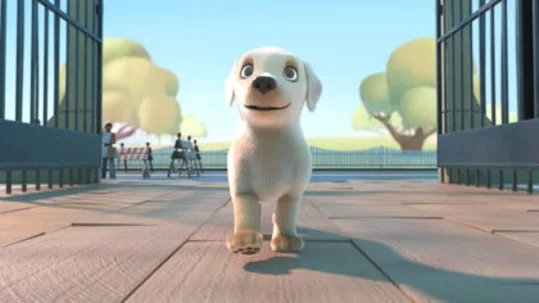 görsel