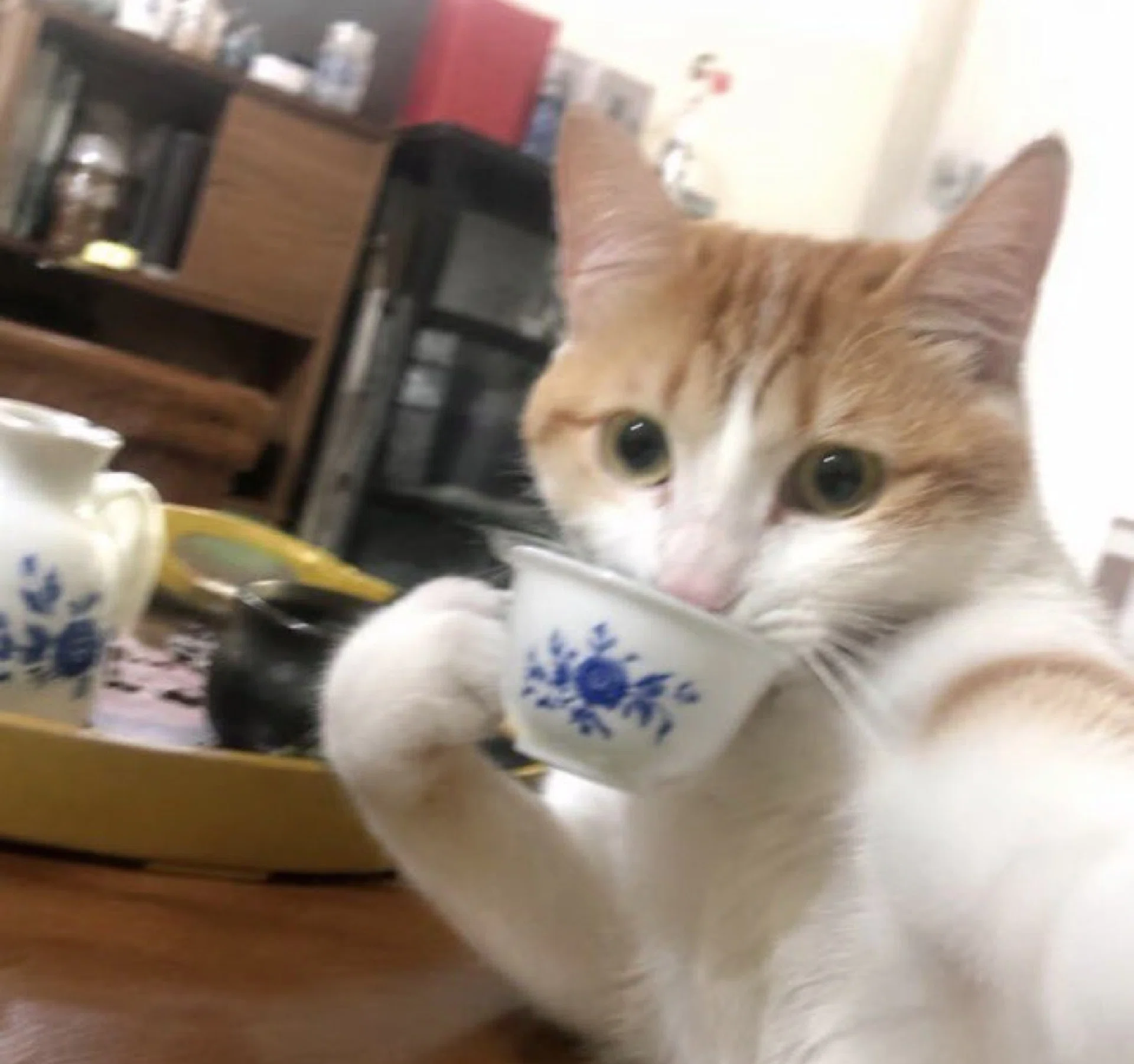 görsel
