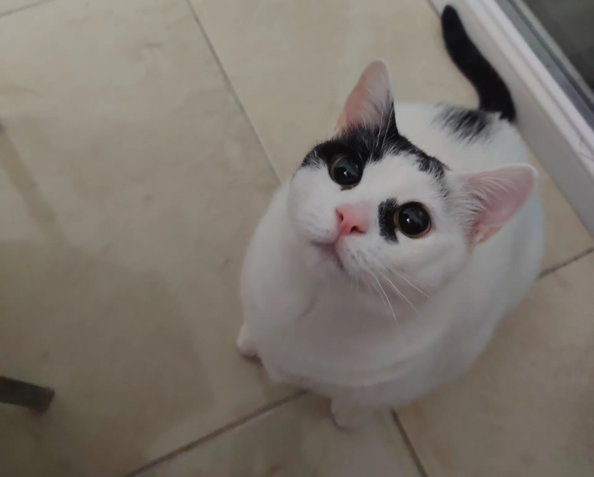 görsel