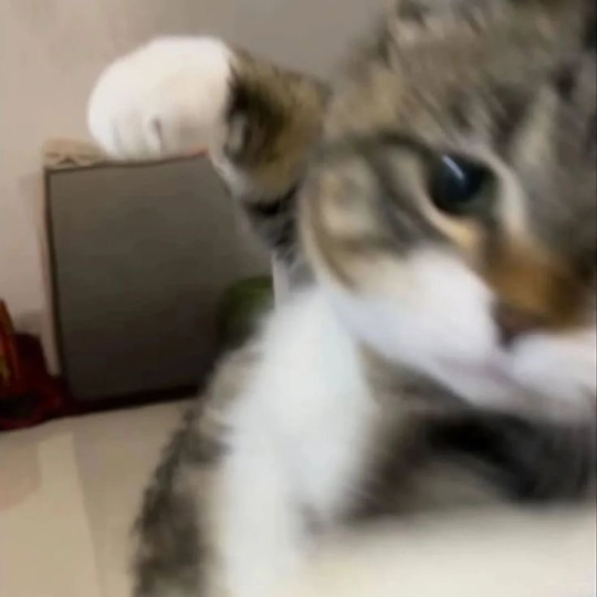 görsel