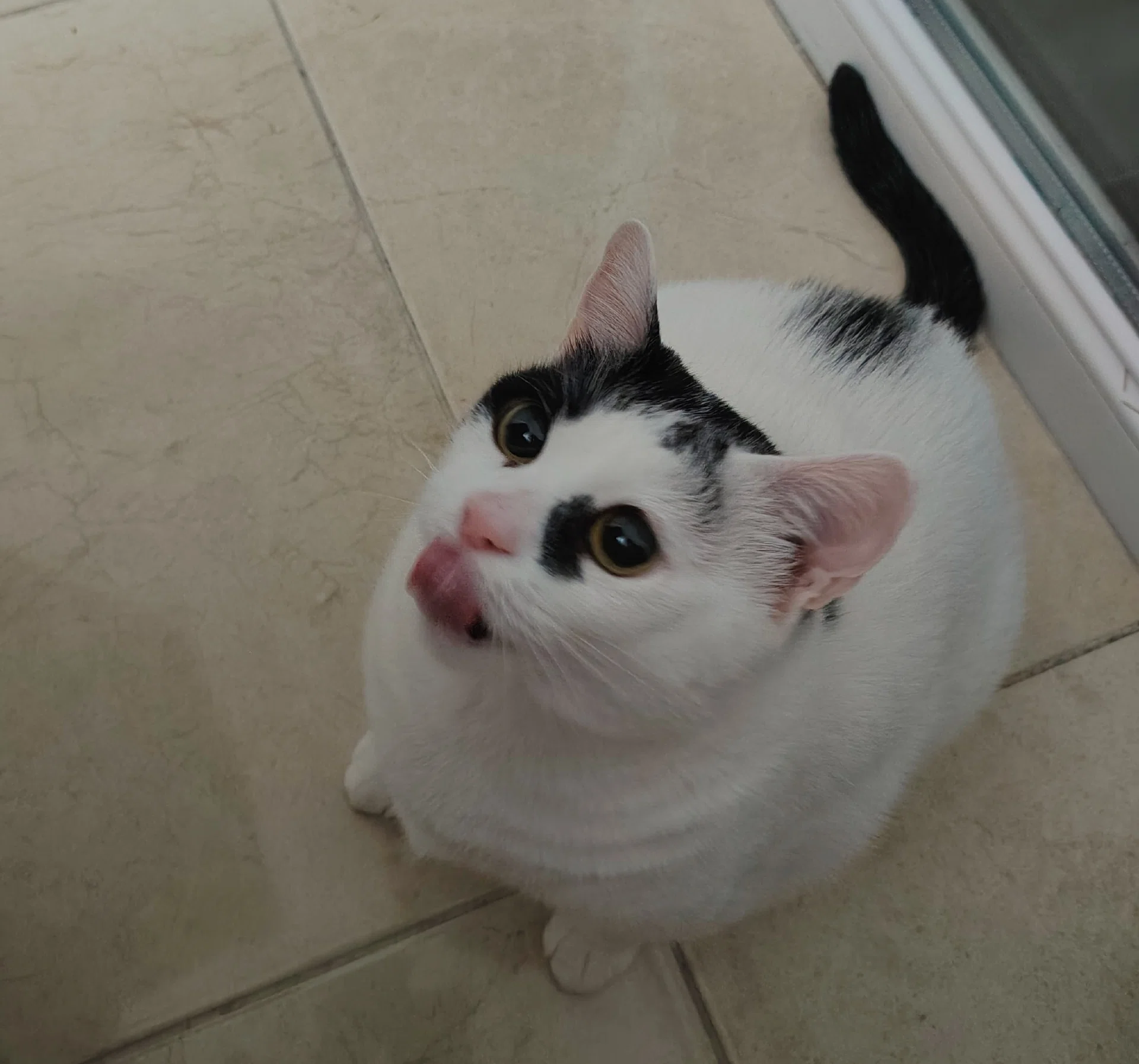 görsel