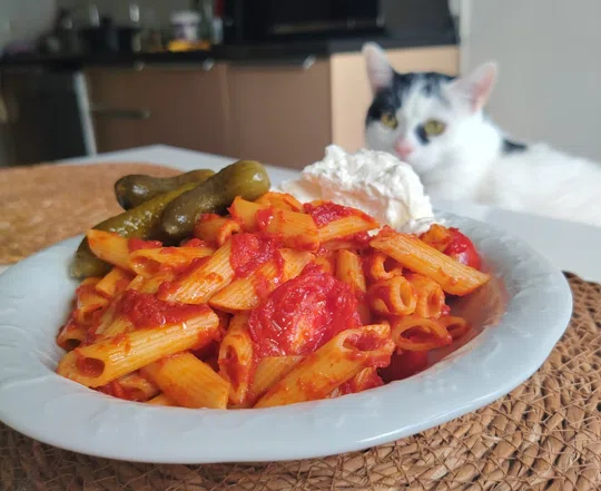 görsel