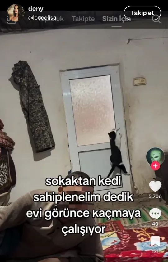 görsel