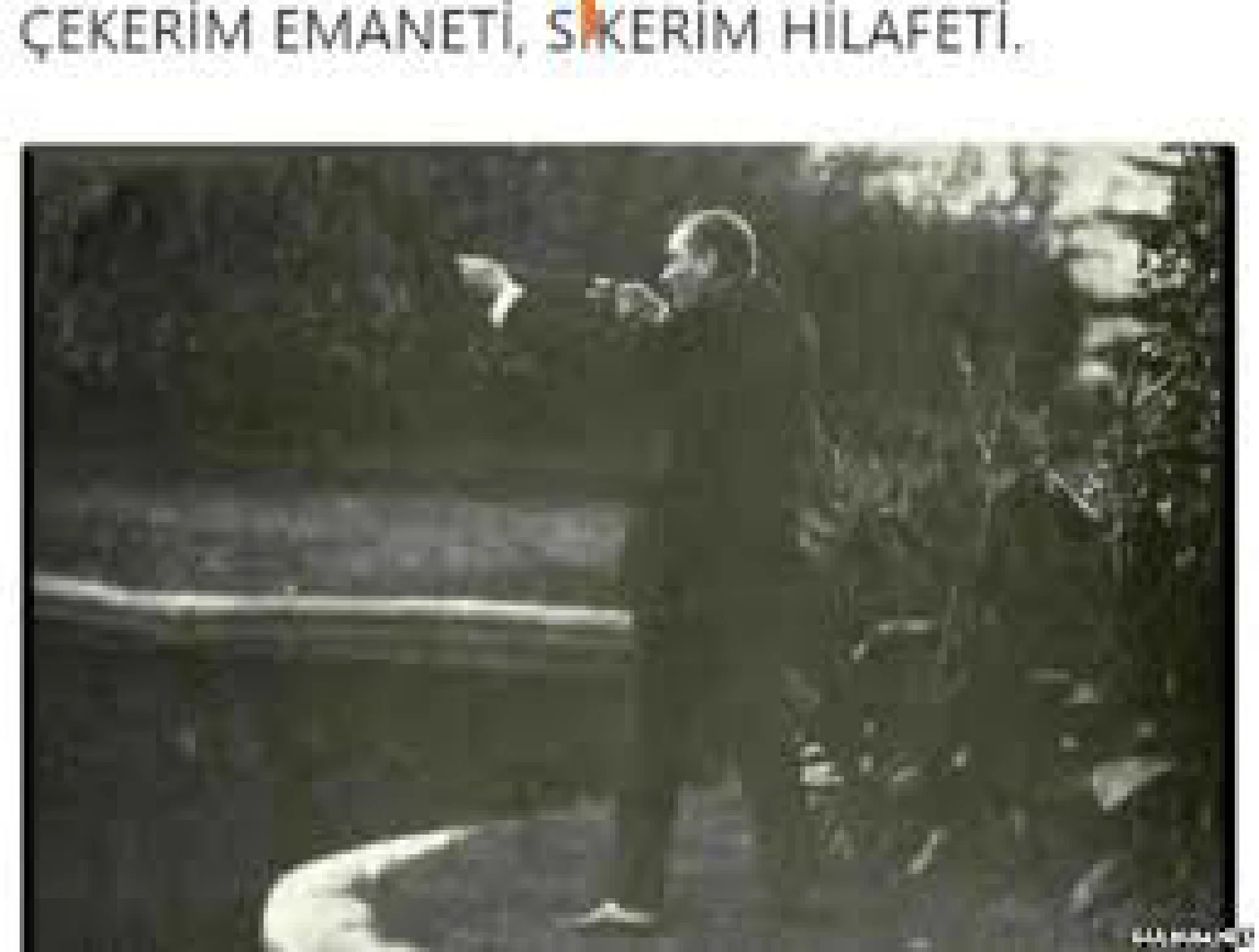 görsel