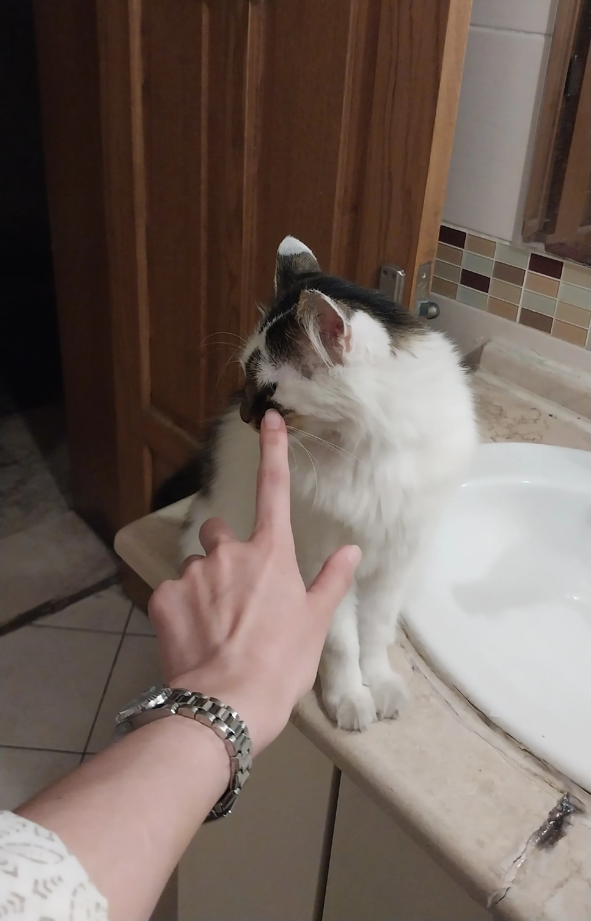 görsel
